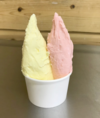バニライチゴジェラート