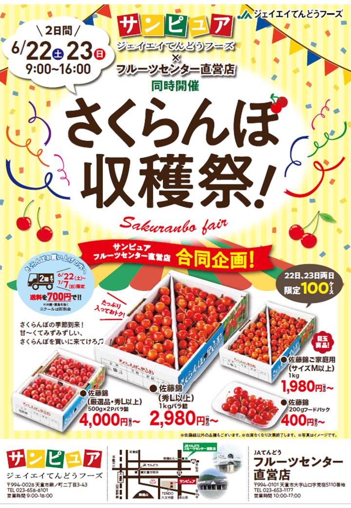 さくらんぼ収穫祭を開催します!